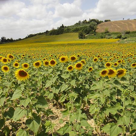 Tenuta Di Colle Alberti Agriturismo Villa Cerreto Guidi Kültér fotó