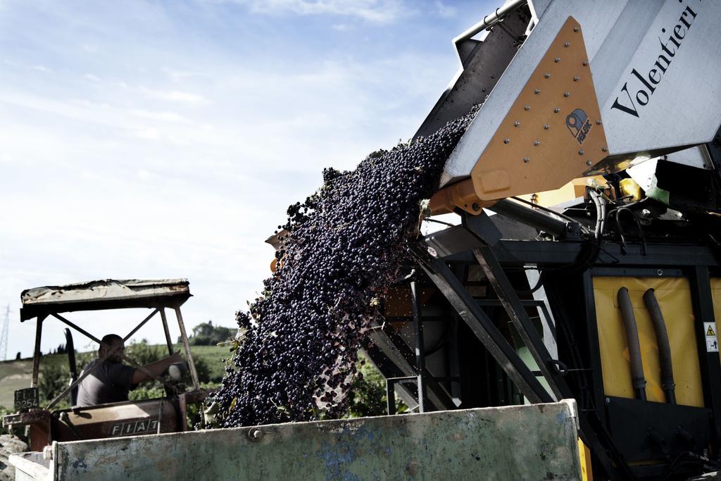 Tenuta Di Colle Alberti Agriturismo Villa Cerreto Guidi Kültér fotó