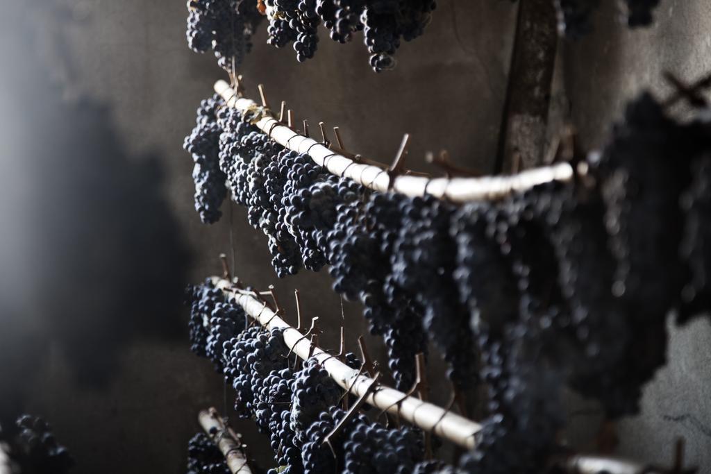 Tenuta Di Colle Alberti Agriturismo Villa Cerreto Guidi Kültér fotó