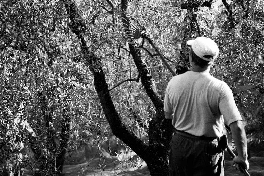 Tenuta Di Colle Alberti Agriturismo Villa Cerreto Guidi Kültér fotó