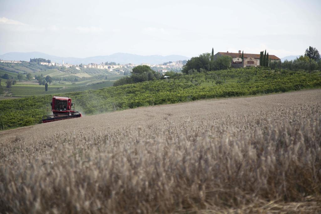 Tenuta Di Colle Alberti Agriturismo Villa Cerreto Guidi Kültér fotó