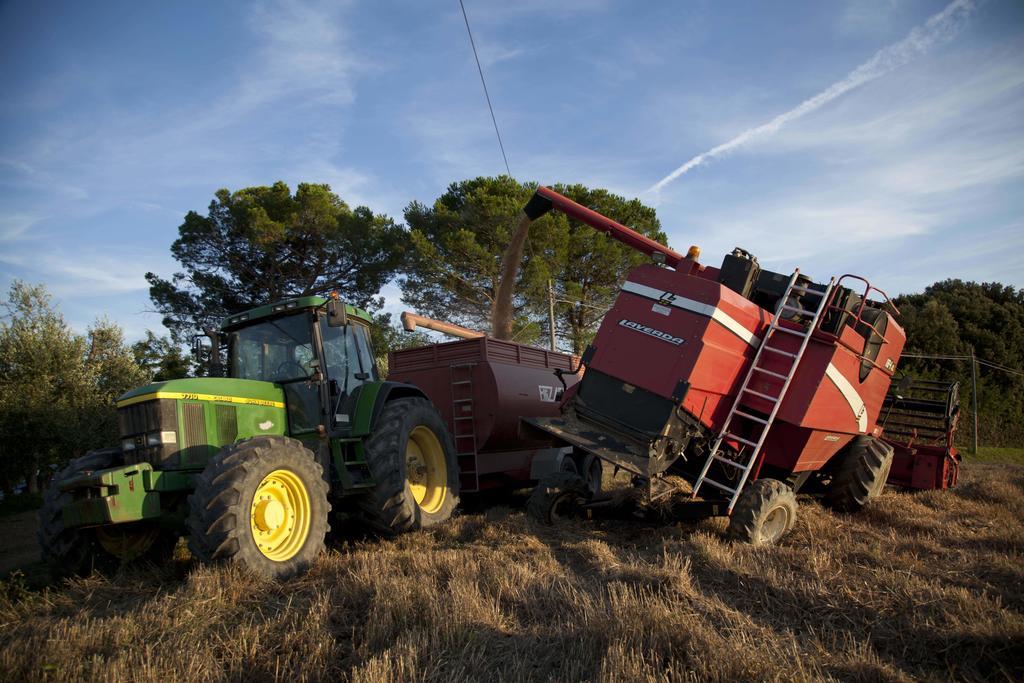 Tenuta Di Colle Alberti Agriturismo Villa Cerreto Guidi Kültér fotó